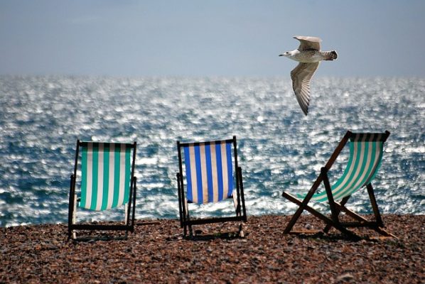 beach chairs set up on beach with seagull flying over