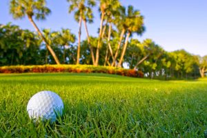golf-course-on-grass-in-front-of-tropical-trees